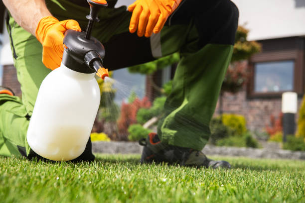 Best Commercial Pest Control Services  in USA